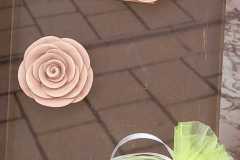 IMG-20220327-WA0013