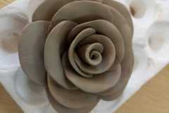 IMG-20220327-WA0028